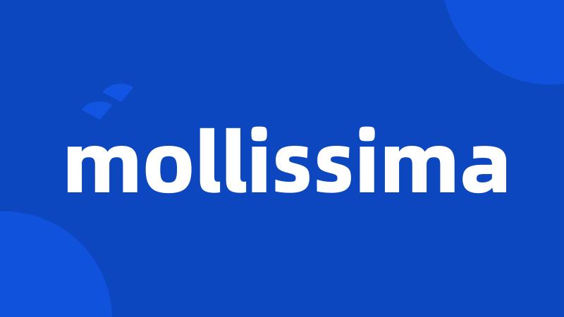 mollissima