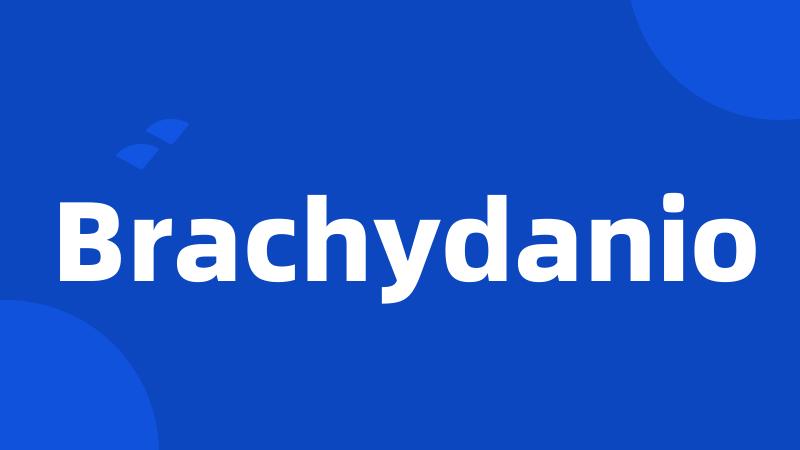 Brachydanio