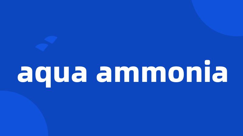 aqua ammonia