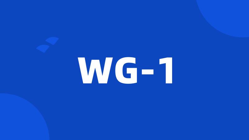 WG-1