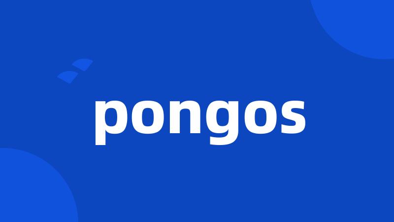 pongos