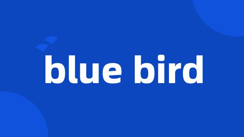 blue bird