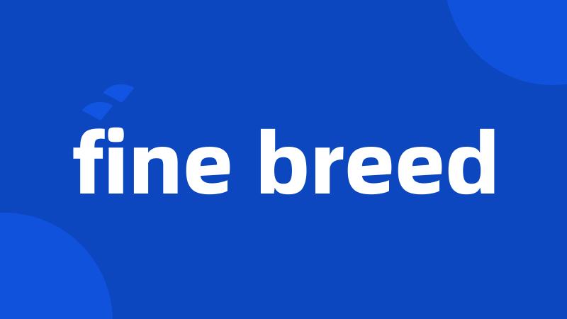 fine breed