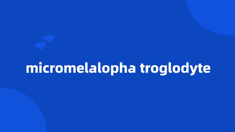 micromelalopha troglodyte