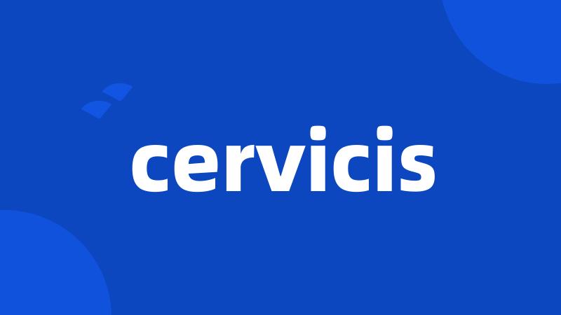 cervicis