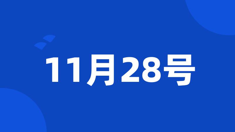 11月28号