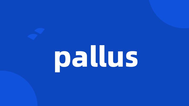 pallus