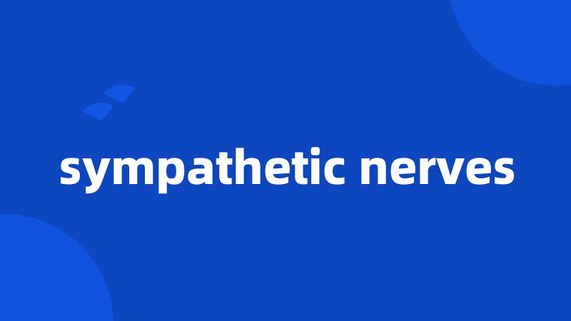 sympathetic nerves