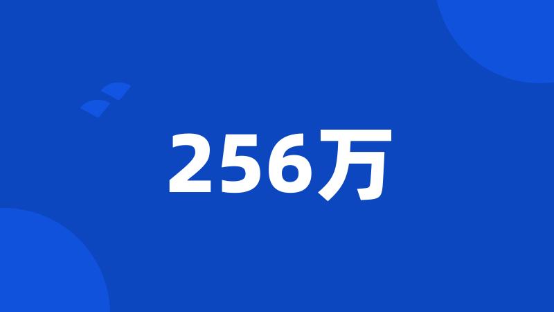 256万