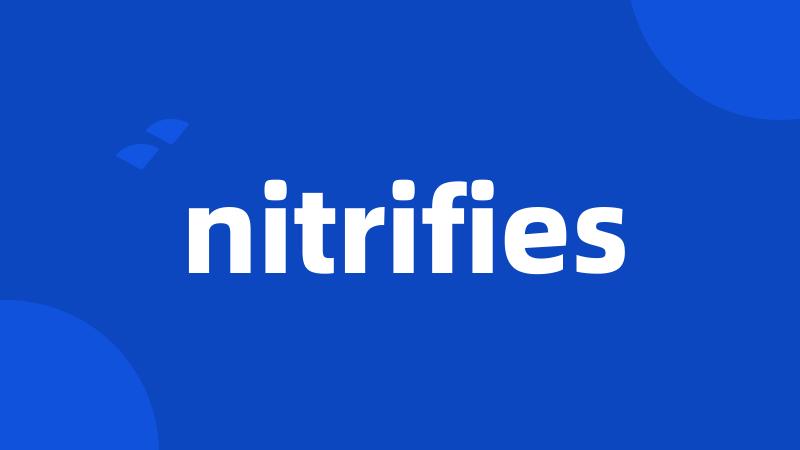 nitrifies