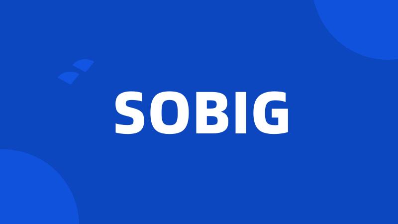 SOBIG