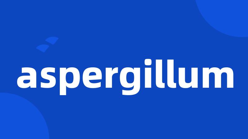 aspergillum