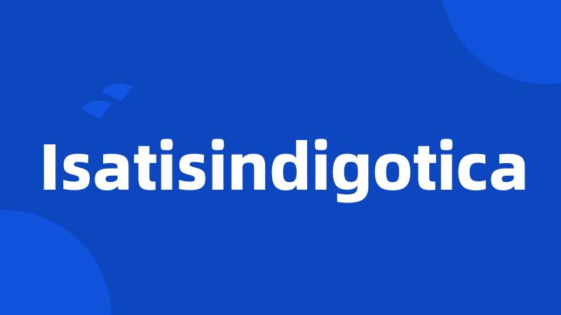 Isatisindigotica