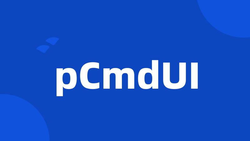 pCmdUI