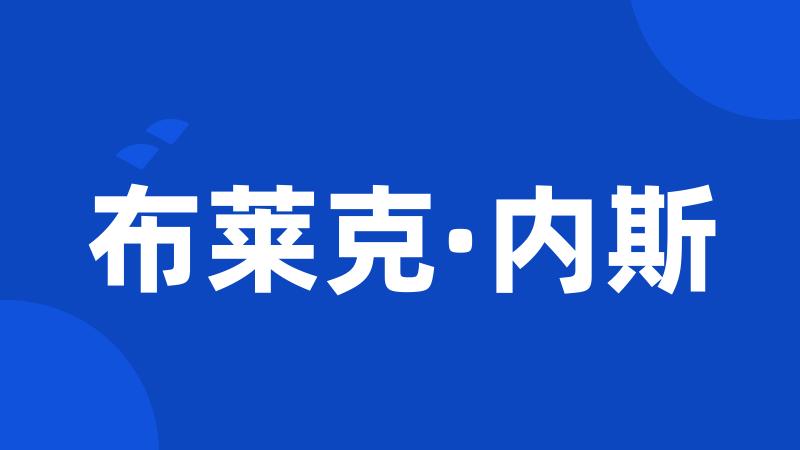 布莱克·内斯