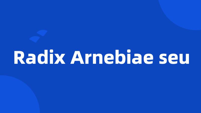 Radix Arnebiae seu