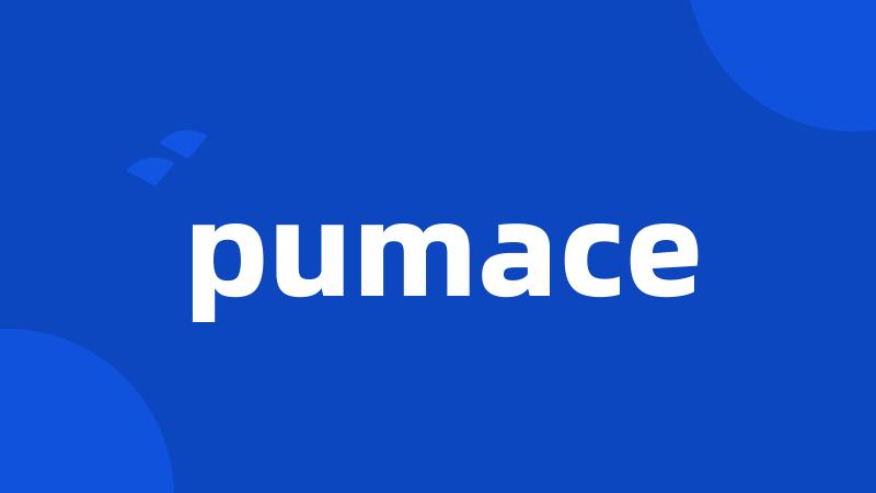 pumace