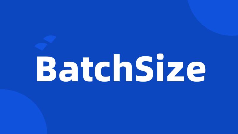 BatchSize