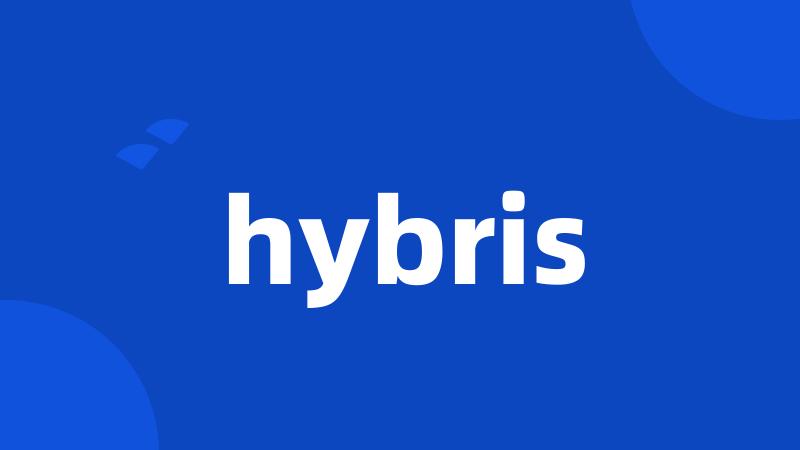 hybris