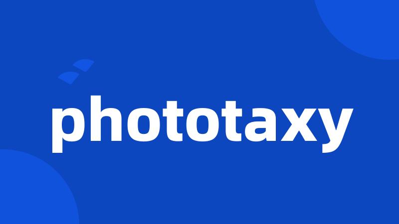 phototaxy