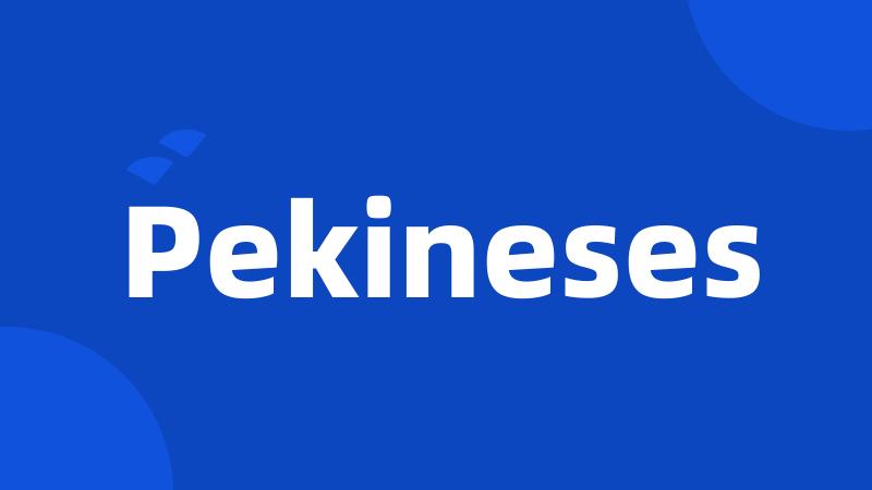 Pekineses