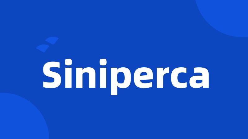 Siniperca