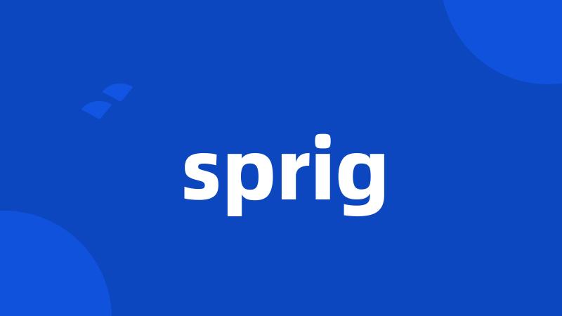 sprig