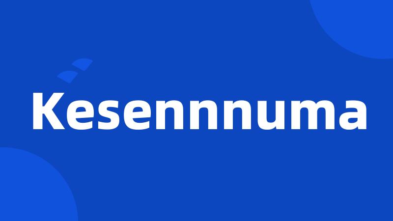 Kesennnuma