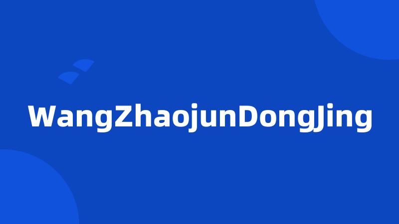 WangZhaojunDongJing