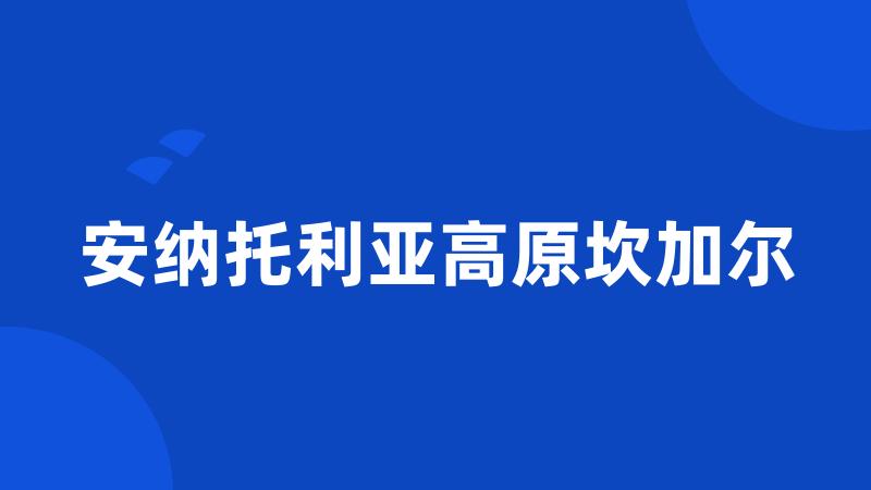 安纳托利亚高原坎加尔