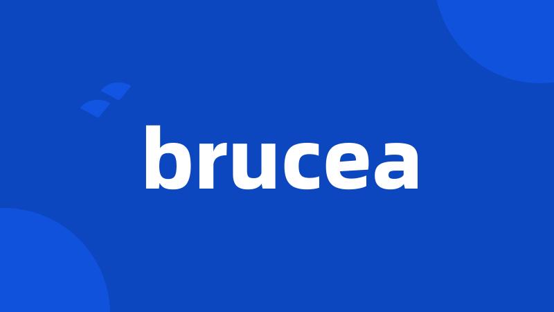 brucea