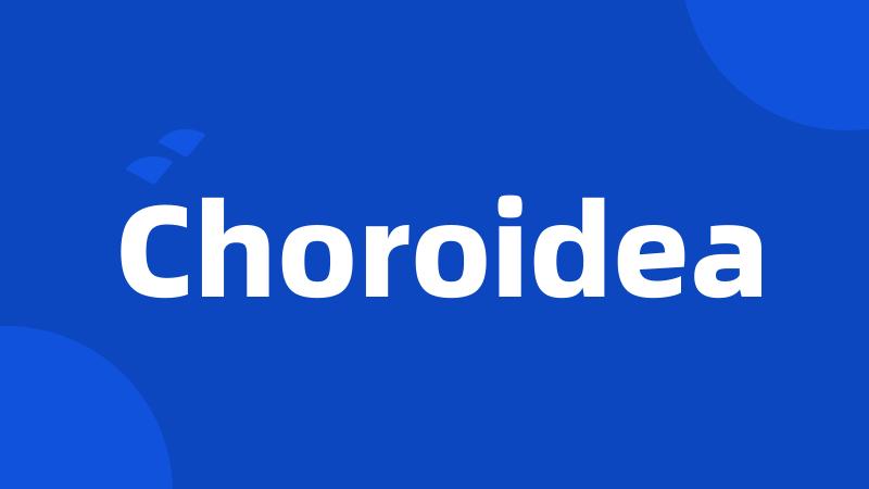 Choroidea