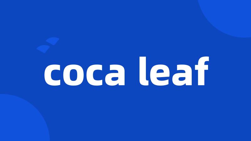 coca leaf