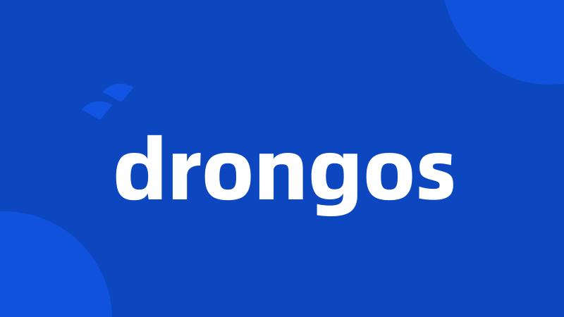 drongos