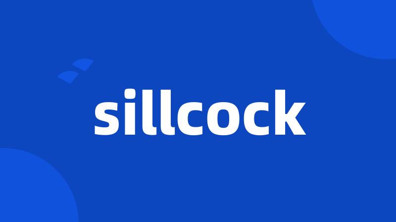 sillcock