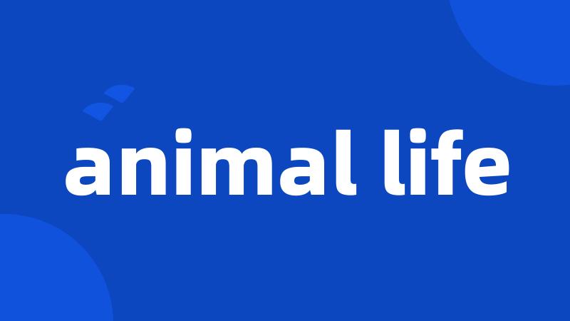 animal life