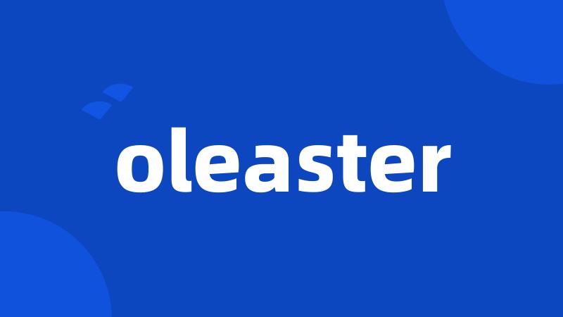 oleaster