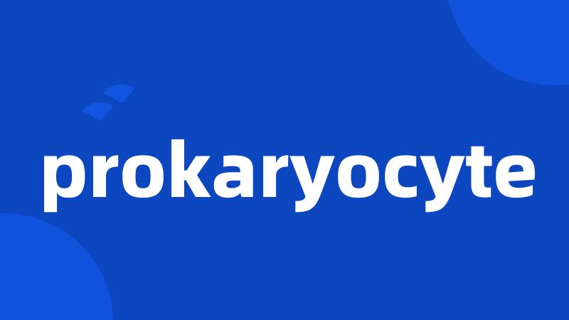 prokaryocyte