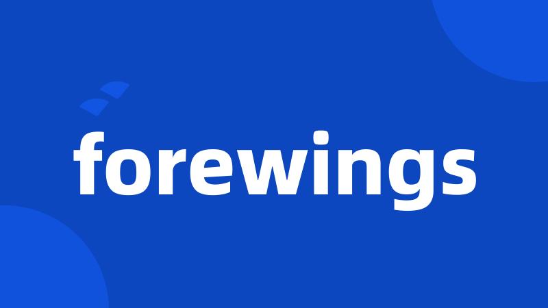 forewings