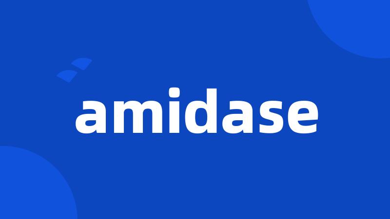 amidase