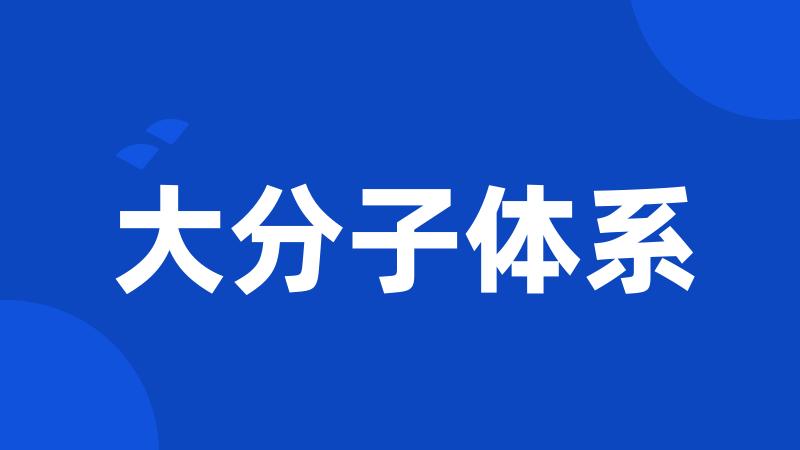 大分子体系