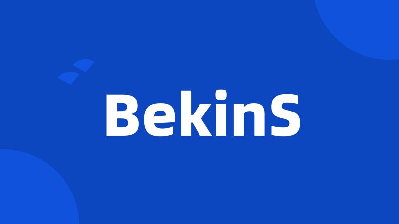 BekinS