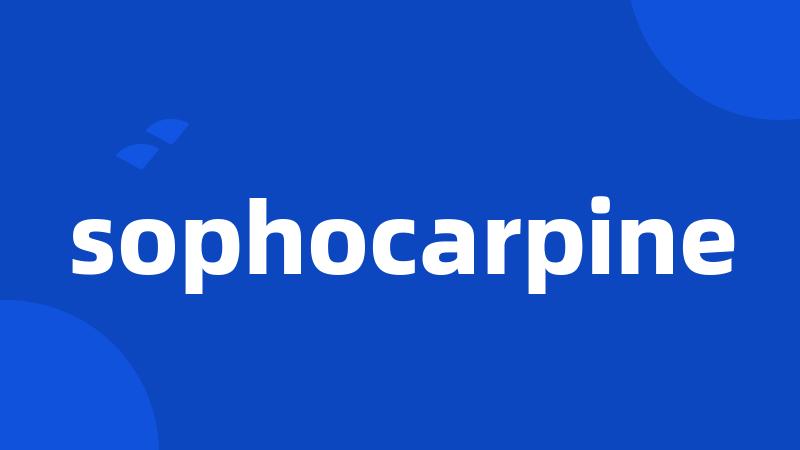 sophocarpine