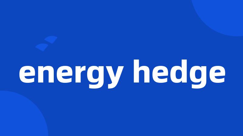 energy hedge