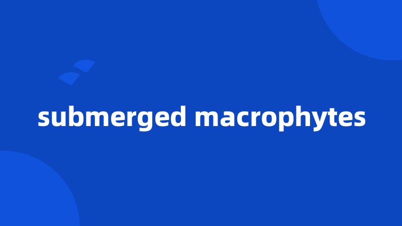 submerged macrophytes