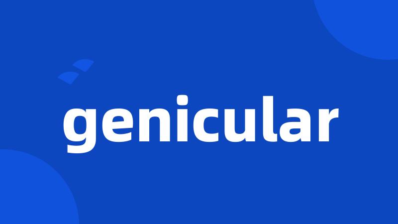 genicular