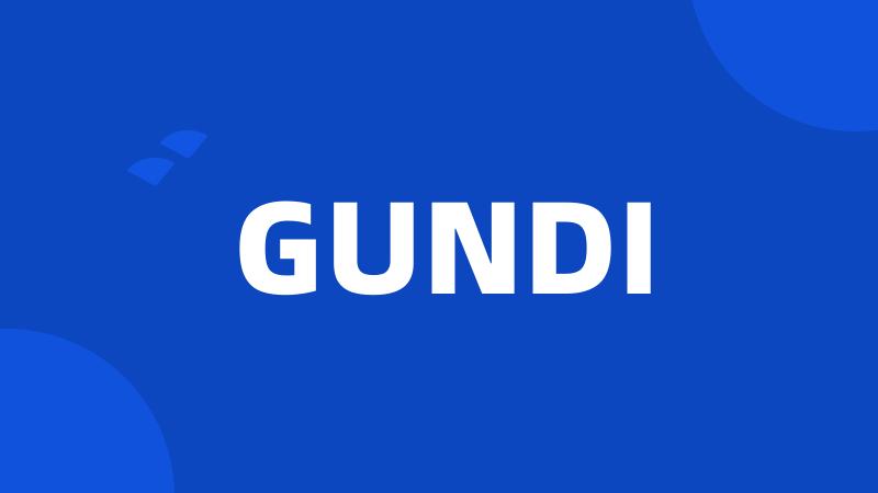 GUNDI