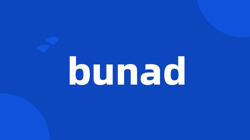 bunad