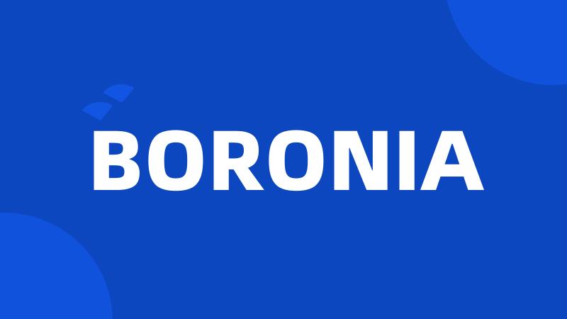 BORONIA