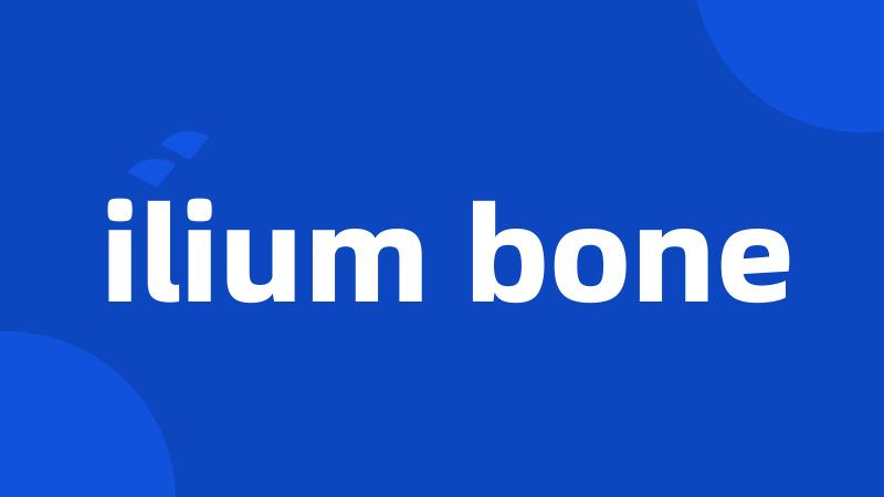 ilium bone